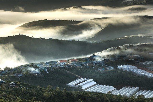 Free download da lat vietnam planting shining free picture to be edited with GIMP free online image editor