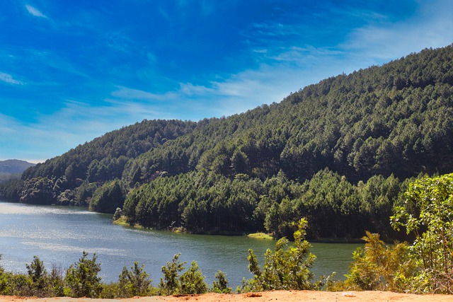 Bezpłatne pobieranie da lat wietnam drzewo górskie jezioro darmowe zdjęcie do edycji za pomocą bezpłatnego internetowego edytora obrazów GIMP
