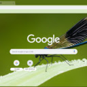 Damselfly  screen for extension Chrome web store in OffiDocs Chromium