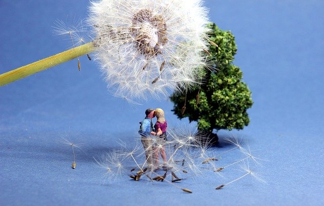 Free download Dandelion Lovers Miniature Figures -  free photo or picture to be edited with GIMP online image editor