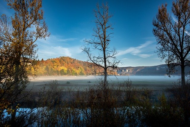 Descărcare gratuită Danube Fog Meadow - fotografie sau imagine gratuită pentru a fi editată cu editorul de imagini online GIMP