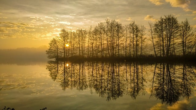 Free download danube river sunset trees nature free picture to be edited with GIMP free online image editor