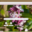 Daphne  screen for extension Chrome web store in OffiDocs Chromium