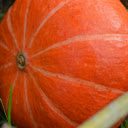 Dark orange round pumpkin  screen for extension Chrome web store in OffiDocs Chromium