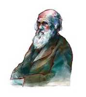 Free download darwin-portrait free photo or picture to be edited with GIMP online image editor