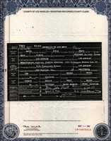 Free download Davids birth certificate free photo or picture to be edited with GIMP online image editor