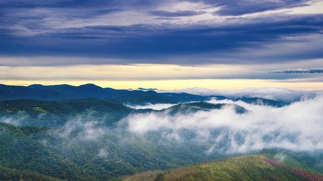 Безкоштовно завантажте Dawn Nature Forest - безкоштовне фото або зображення для редагування за допомогою онлайн-редактора зображень GIMP