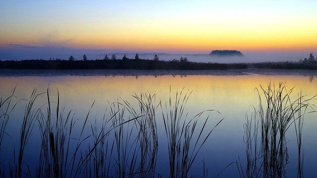 Muat turun percuma templat foto percuma Dawn Rushes The Fog untuk diedit dengan editor imej dalam talian GIMP