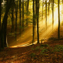 Dawn sunlight  screen for extension Chrome web store in OffiDocs Chromium