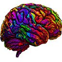 Daydream Filter  screen for extension Chrome web store in OffiDocs Chromium Daydream Filter  screen for extension Chrome web store in OffiDocs Chromium