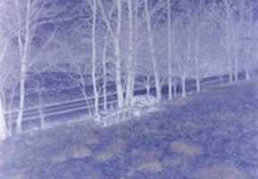 Free download Day Dream Three 4 free photo or picture to be edited with GIMP online image editor