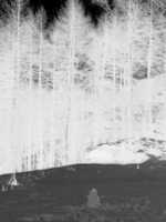 Free download Day Dream Three free photo or picture to be edited with GIMP online image editor