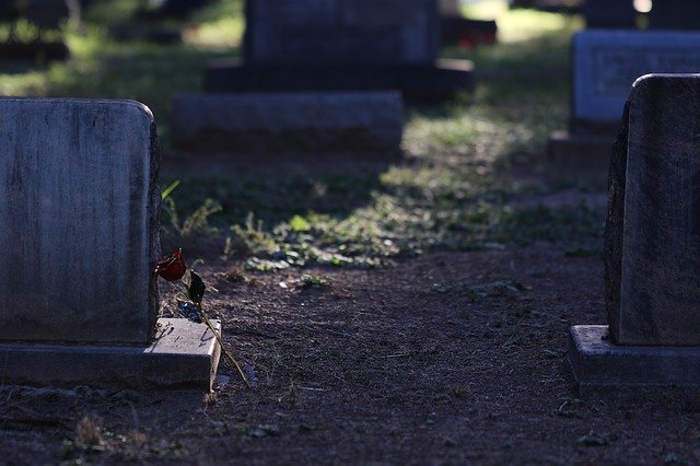 Free download dead love grave rose golden rose free picture to be edited with GIMP free online image editor