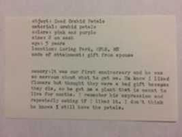 Free download Dead Orchid Petals Index Card free photo or picture to be edited with GIMP online image editor