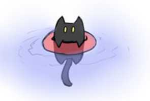 Free download  Deathsie likes to swim free photo or picture to be edited with GIMP online image editor