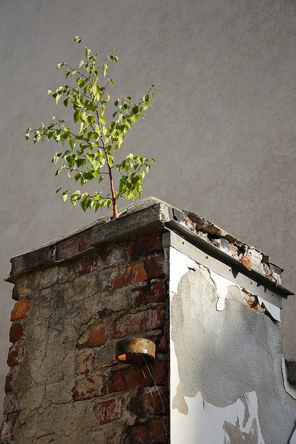 Bezpłatne pobieranie Decay Ruin Masonry - darmowe zdjęcie lub obraz do edycji za pomocą internetowego edytora obrazów GIMP