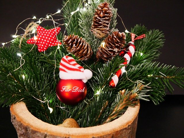Free download Deco Christmas Flower Arrangement -  free photo or picture to be edited with GIMP online image editor