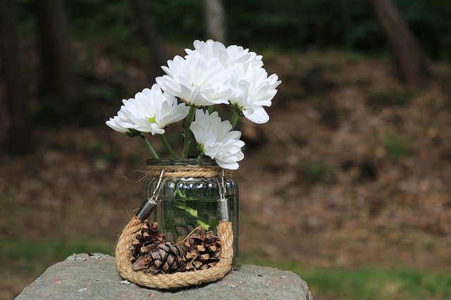 Kostenloser Download Deco Flower Vase - kostenloses Foto oder Bild zur Bearbeitung mit GIMP Online-Bildbearbeitung