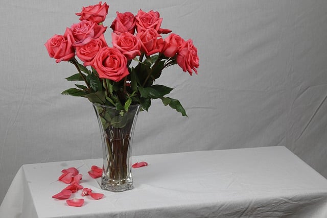 Gratis download decoratie basis bloemblaadjes bloesem gratis foto om te bewerken met GIMP gratis online afbeeldingseditor