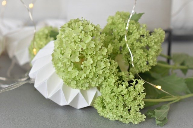 Free download Decoration Deco Table Decorations -  free photo or picture to be edited with GIMP online image editor