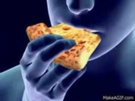 Free download Ded Eh F free photo or picture to be edited with GIMP online image editor