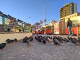 Free download deehunoqfvep free photo or picture to be edited with GIMP online image editor