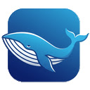 DeepSeek AI Assistant for chrome  screen for extension Chrome web store in OffiDocs Chromium