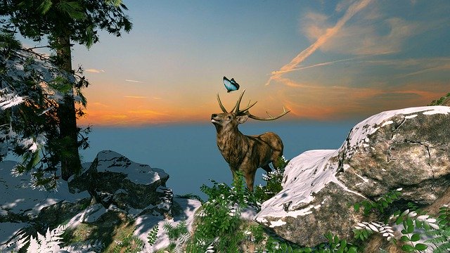 Free download Deer Butterfly Nature -  free illustration to be edited with GIMP free online image editor