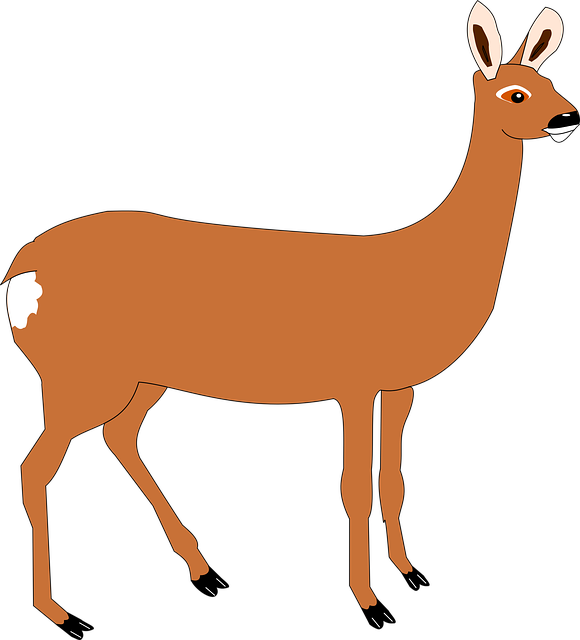 Free download Deer Forest Mammal - Free vector graphic on Pixabay free illustration to be edited with GIMP free online image editor