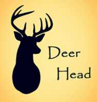 Free download Deerhead free photo or picture to be edited with GIMP online image editor