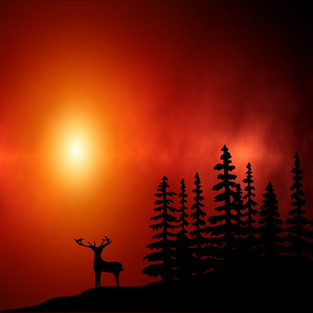 Free download Deer Mountain Nature -  free illustration to be edited with GIMP free online image editor