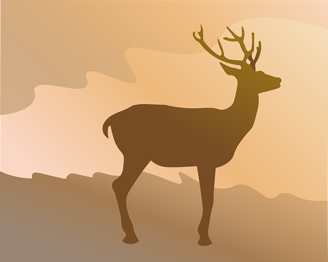 Free download Deer Stag Clearing - Free vector graphic on Pixabay free illustration to be edited with GIMP free online image editor