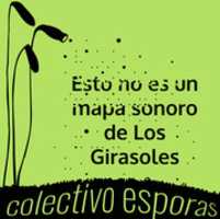 Free download Definitivo Girasoles free photo or picture to be edited with GIMP online image editor