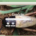De Gay  screen for extension Chrome web store in OffiDocs Chromium