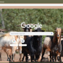 De hoang  screen for extension Chrome web store in OffiDocs Chromium