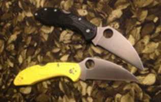 Free download Delica 4 And Salt 2 Wharnies free photo or picture to be edited with GIMP online image editor