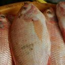 Delicious fresh fish  screen for extension Chrome web store in OffiDocs Chromium