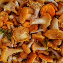 Delicious fresh mushroom meal  screen for extension Chrome web store in OffiDocs Chromium