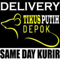Free download DELIVERY SAME DAY free photo or picture to be edited with GIMP online image editor