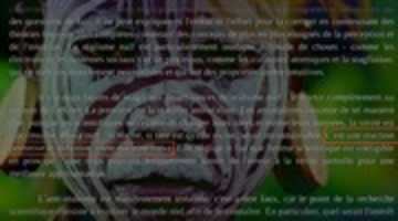 Free download Deloison Bunge free photo or picture to be edited with GIMP online image editor