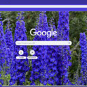 Delphinium  screen for extension Chrome web store in OffiDocs Chromium