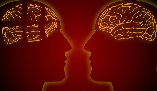 Free download Dementia Disease AlzheimerS -  free illustration to be edited with GIMP free online image editor