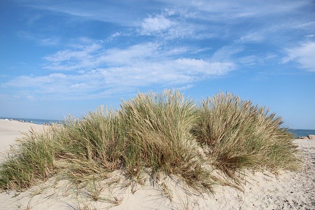 Download gratuito Denmark Summer Sol - foto o immagine gratuita da modificare con l'editor di immagini online GIMP