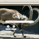 De nui  screen for extension Chrome web store in OffiDocs Chromium
