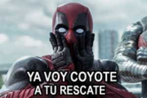 Free download depoll free photo or picture to be edited with GIMP online image editor