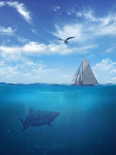 Gratis download Depth Shark Sail - gratis foto of afbeelding om te bewerken met GIMP online afbeeldingseditor