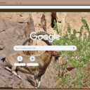 De rung nau  screen for extension Chrome web store in OffiDocs Chromium