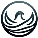 Descrollify — Limit Your YouTube Shorts Watchtime  screen for extension Chrome web store in OffiDocs Chromium