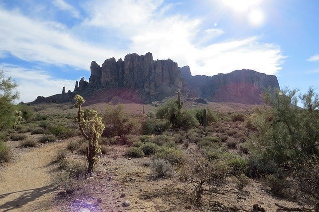 הורדה חינם Desert Arizona Cactus - תמונה או תמונה בחינם לעריכה עם עורך התמונות המקוון GIMP