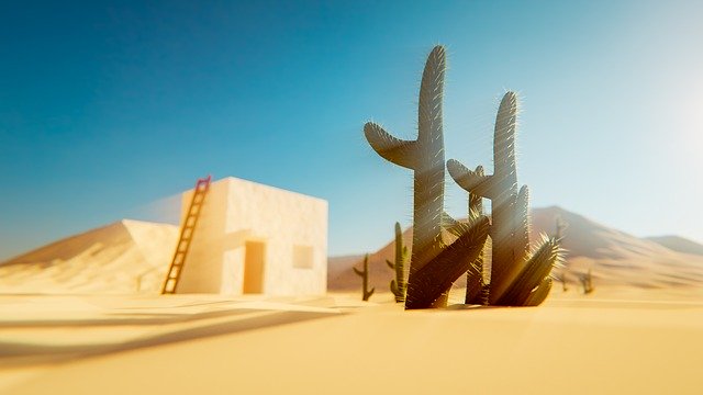 Muat turun percuma Desert Cactus Sand Dirt - foto atau gambar percuma untuk diedit dengan editor imej dalam talian GIMP